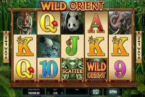 Wild Jackpots Casino Screenshot 4